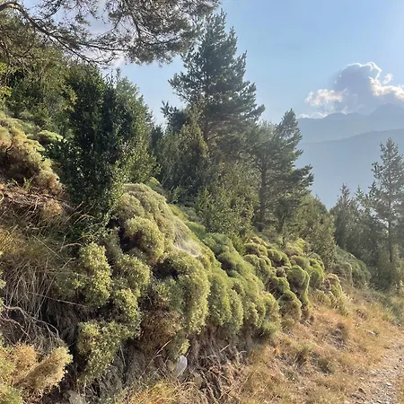 El Rincon De La Rapeda Villanúa