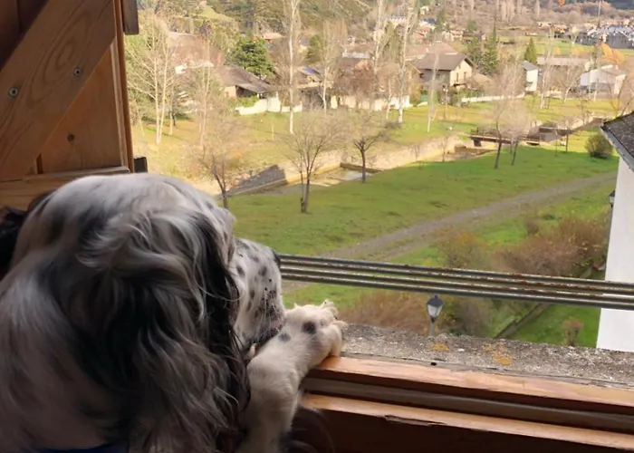 El Rincon De La Rapeda